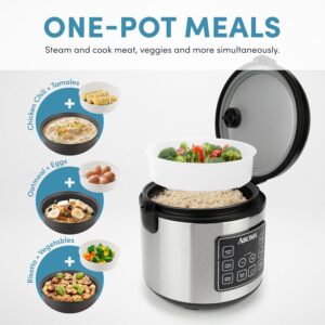 aroma housewares 20 cup cooked (10 cup uncooked) digital rice cooker, slow cooker, food steamer, ss exterior (arc 150sb),black