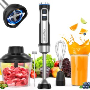 Immersion Blender 5 in 1 Hand Blender, Electric Blenders Max 1000W Heavy Duty Motor, 21 Speed & Turbo Mode Handheld Blender, Milk Frother, Egg Whisk, 800ml Beaker, 600ml Chopper Stainless Steel Blades