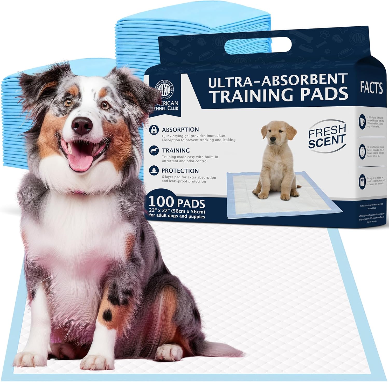 American Kennel Club Scented Puppy Training Pads with Ultra Absorbent Quick Dry Gel – 22 x 22 Pee Pads for Dogs – Fresh Scented – Pack of 100