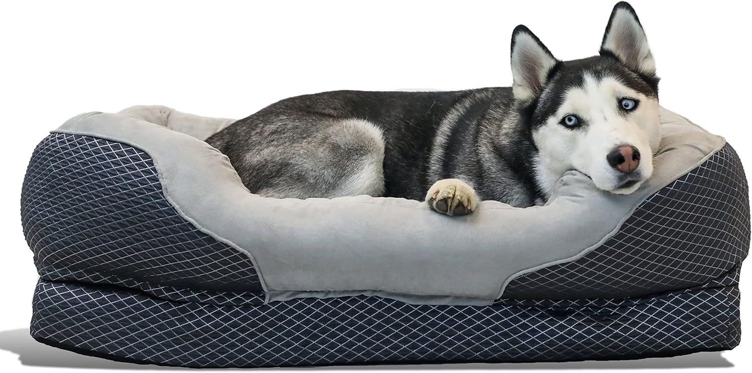 BarksBar Snuggly Sleeper Large Gray Diamond Orthopedic Dog Bed with Solid Orthopedic Foam, Soft Cotton Bolster, and Ultra Soft Plush Sleeping Space – 40 x 30 Inches