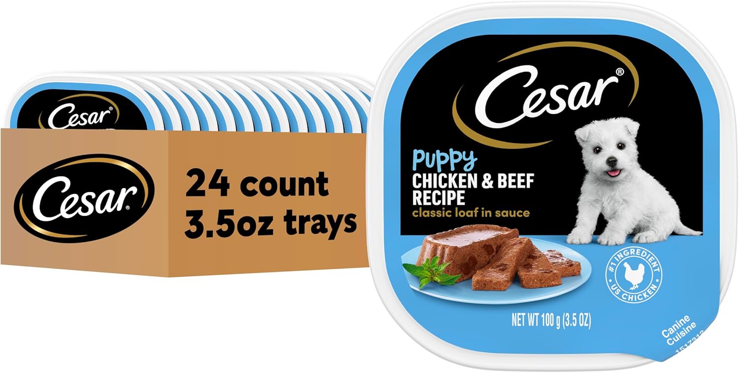 Cesar Puppy Wet Dog Food Classic Loaf in Sauce Chicken & Beef Recipe, 3.5 oz. Easy Peel Trays (24 Count, Pack of 1)