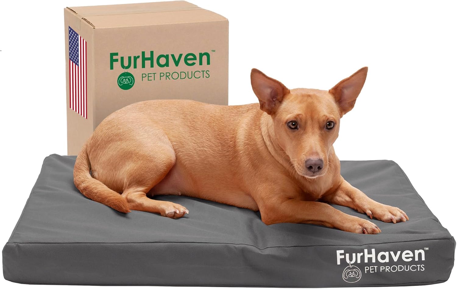 Furhaven Water-Resistant Orthopedic Dog Bed for Medium/Small Dogs w/ Removable Washable Cover, For Dogs Up to 35 lbs – Indoor/Outdoor Logo Print Oxford Polycanvas Mattress – Stone Gray, Medium Furhaven Water-Resistant Orthopedic Dog Bed for Medium/Small Dogs w/ Removable Washable Cover, For Dogs Up to 35 lbs – Indoor/Outdoor Logo Print Oxford Polycanvas Mattress – Stone Gray, Medium