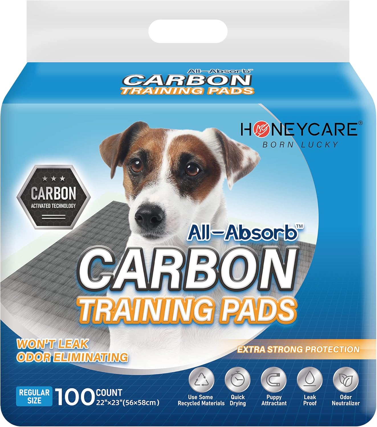 HONEY CARE All-Absorb Puppy Training Pads | Doggie Potty Pads Absorb Eliminating Urine Odor, Ultra Charcoal Dog Pee Pad (Carbon, L 22×23 inch, 100ct)
