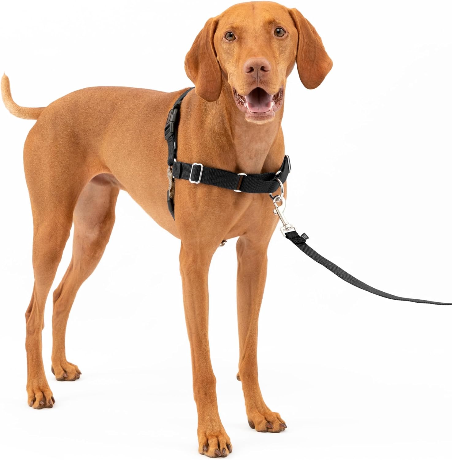 PetSafe Easy Walk Harness for Dogs – Pull-Free Walks – Patented Martingale Loop Design – Front Chest Leash Attachment – Comfort Straps – Breathable Harness Design – Medium, Black/Silver PetSafe Easy Walk Harness for Dogs – Pull-Free Walks – Patented Martingale Loop Design – Front Chest Leash Attachment – Comfort Straps – Breathable Harness Design – Medium, Black/Silver