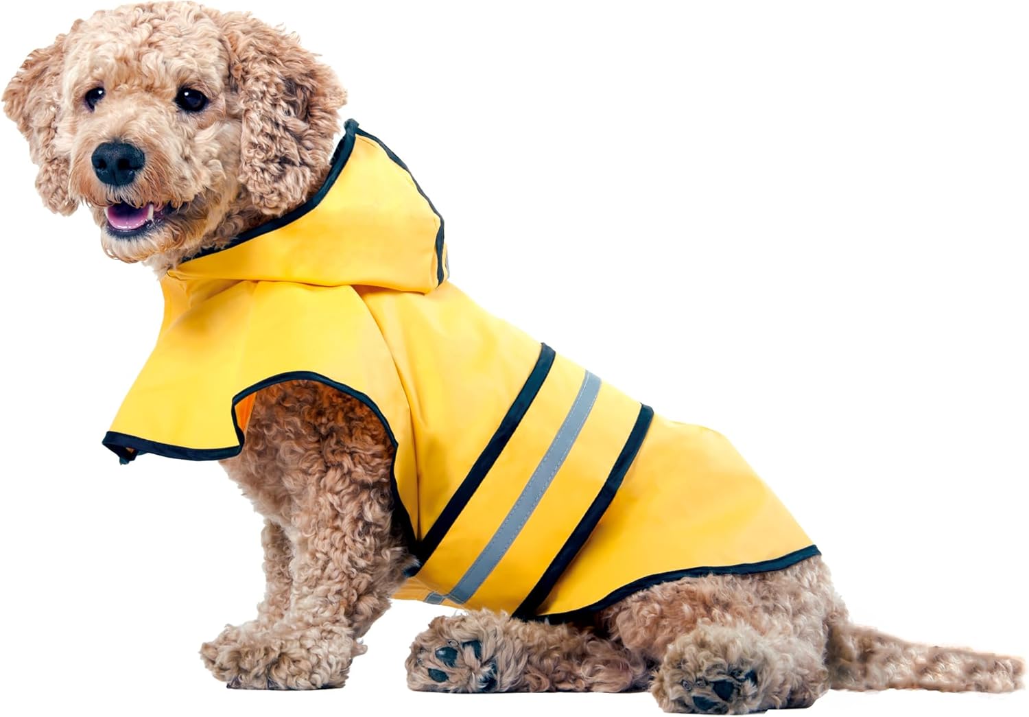 SPOT Rainy Days Slicker – Yellow Dog Rain Jacket With Hood, Reflective Strip for Safety, Leash Hole & Adjustable Velcro Belly Strap, 100% Polyester Water Resistant Pet Raincoat – Medium, 13in Long