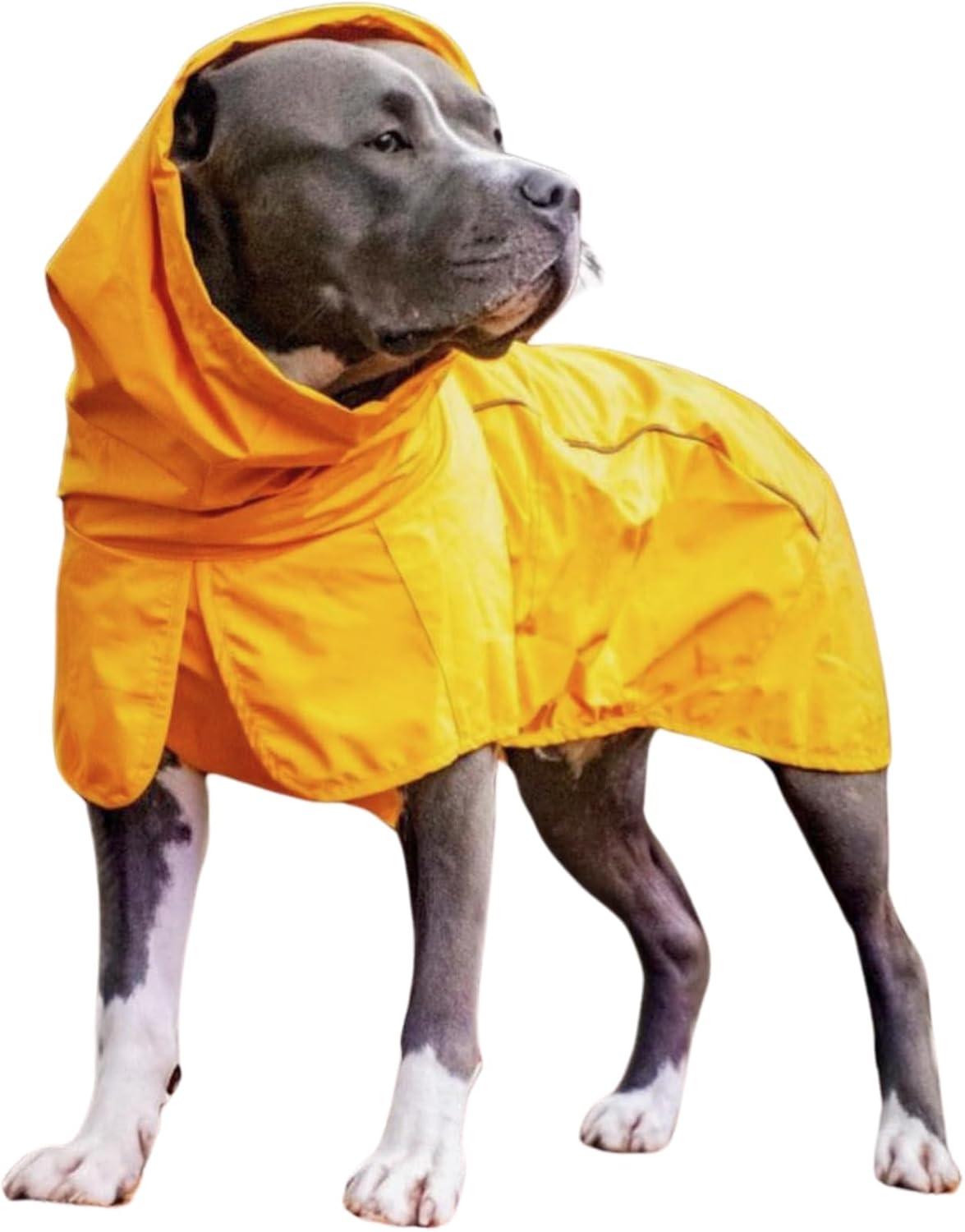 Spark Paws Dog Raincoat, Waterproof Windproof Rain Jacket, for Small Medium Large Extra Large Dogs, Reflective Breathable Full-Body Coverage Dry Suit – Mustard Yellow – 3XL