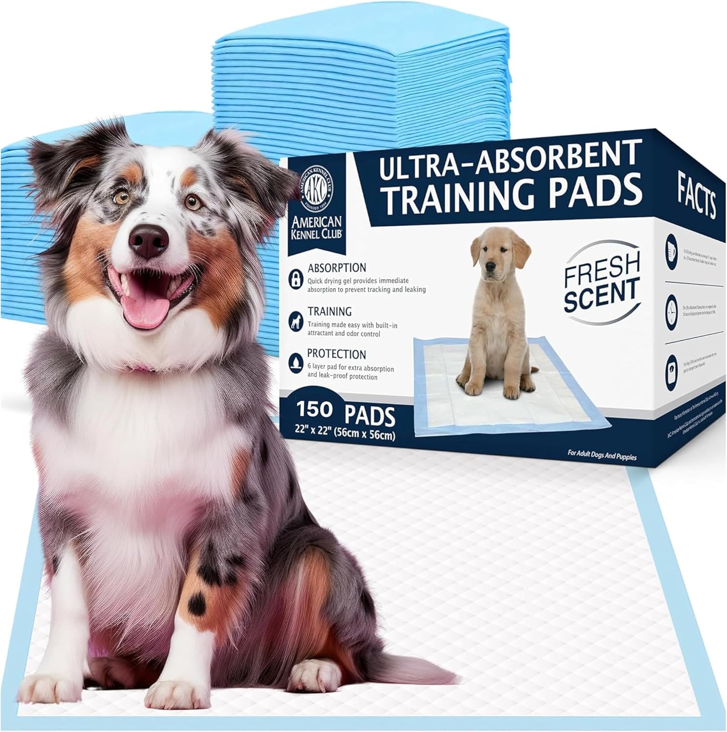 Ultra Absorbent Odor Control Scented Training Pads For Dogs Leak-proof Quick Dry Gel – 22 x 22 Puppy Pads – Fresh Scented – Pack of 150 Ultra Absorbent Odor Control Scented Training Pads For Dogs Leak-proof Quick Dry Gel – 22 x 22 Puppy Pads – Fresh Scented – Pack of 150