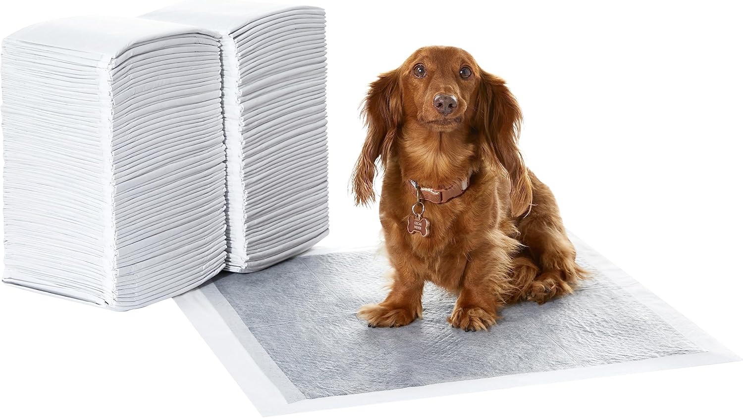 Amazon Basics Carbon Odor-Control Dog and Puppy Pee Pads, 5-Layer Leak-Proof Super Absorbent, Quick-Dry Surface, Potty Training, Regular (22×22″), 120 Count, Gray