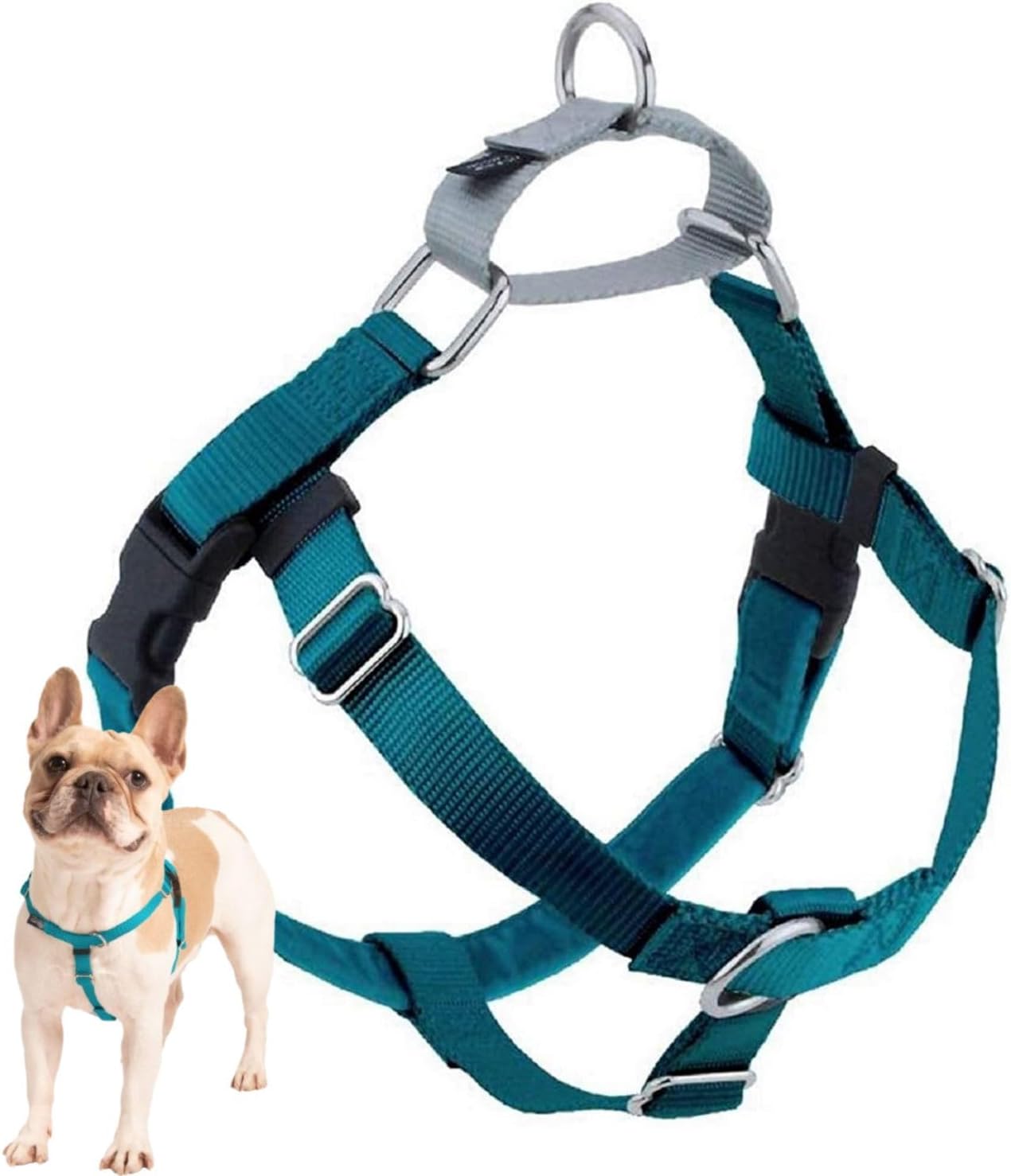 2 Hounds Design Freedom No Pull Dog Harness, Adjustable Harness, Easy Walking & Comfortable Control, Fits Small, Medium & Large Dogs, Solid Colors, Made in USA, 1″ MD, Teal