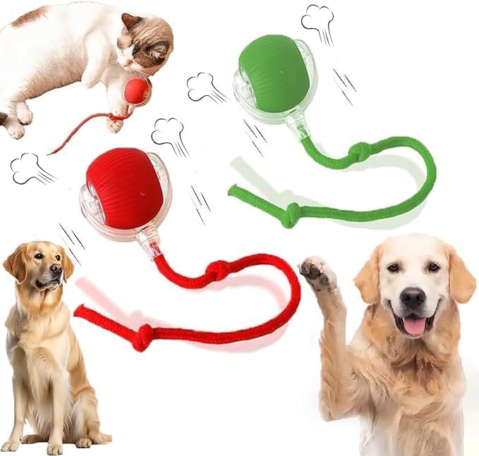 2 Packs New Electric Dog Ball Toy for Cat,360° Smart Automatic Interactive Rolling Dog Smart Pet Toy Ball,Gift for Kids 2 Packs New Electric Dog Ball Toy for Cat,360° Smart Automatic Interactive Rolling Dog Smart Pet Toy Ball,Gift for Kids