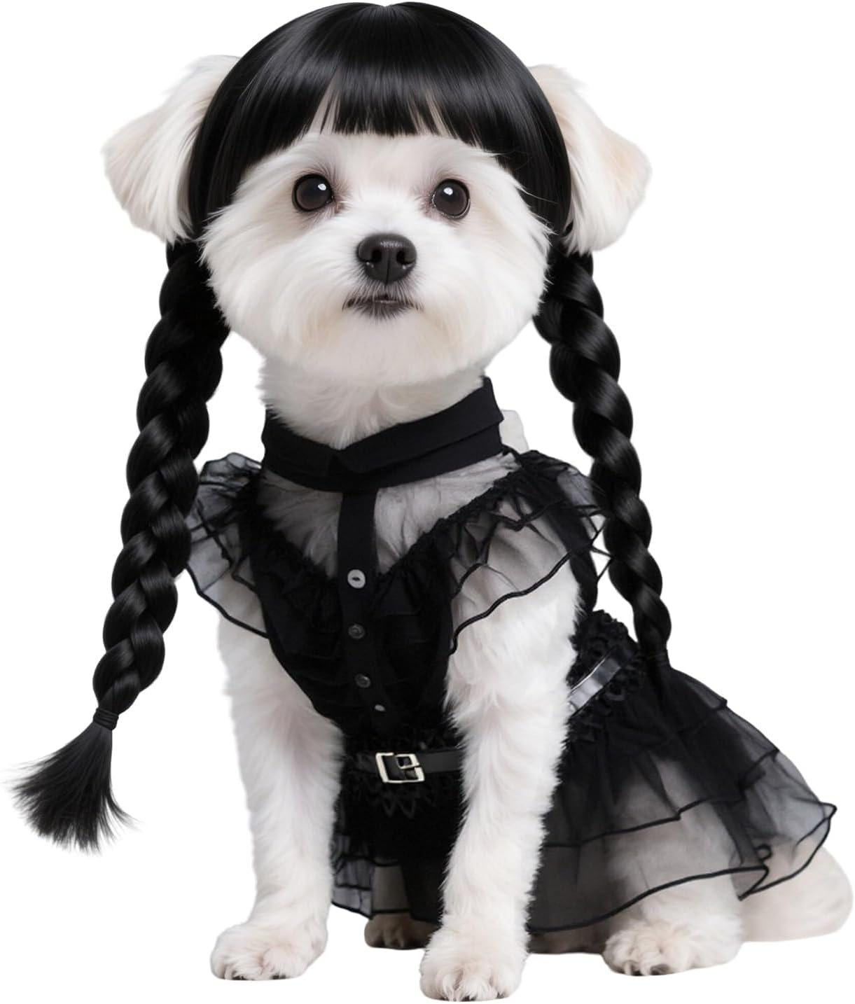 3pcs Dog Costume for Medium Dogs Puppy Clothes with Wig and Belt Black Pet Dog Dress Outfit for Dogs Cats Cosplay Halloween Birthday Party AN002M 3pcs Dog Costume for Medium Dogs Puppy Clothes with Wig and Belt Black Pet Dog Dress Outfit for Dogs Cats Cosplay Halloween Birthday Party AN002M