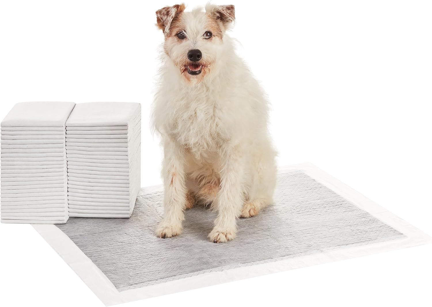 Amazon Basics Carbon Odor-Control Dog and Puppy Pee Pads, 5-Layer Leak-Proof Super Absorbent, Quick-Dry Surface, Potty Training, X-Large (28×34″), 50 Count, Gray