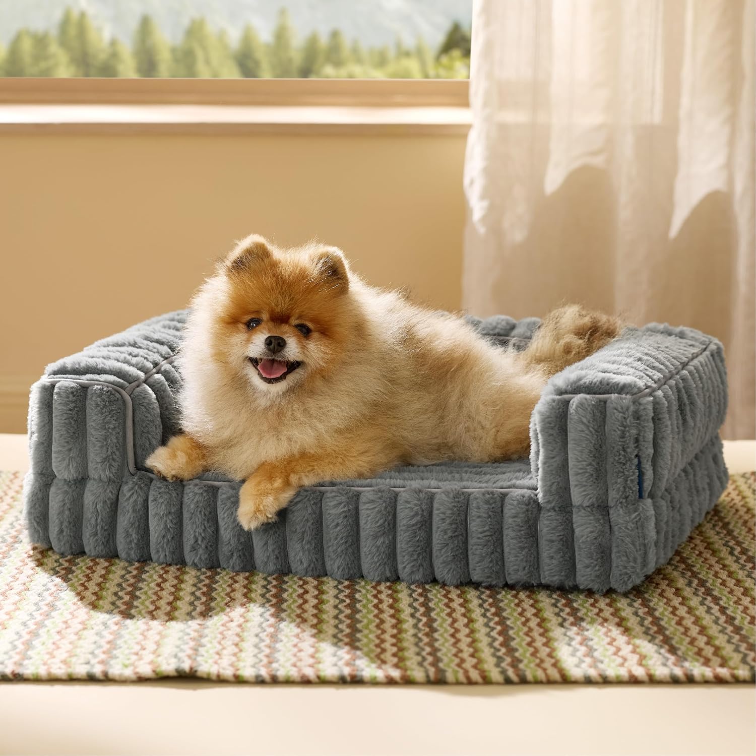 Bedsure Orthopedic Dog Bed for Small Dogs, Waterproof Memory Foam Small Pet Beds with Sides, Non-Slip Bottom and Egg-Crate Foam Medium Dog Couch Sofa with Washable Removable Corduroy Cover, Grey Bedsure Orthopedic Dog Bed for Small Dogs, Waterproof Memory Foam Small Pet Beds with Sides, Non-Slip Bottom and Egg-Crate Foam Medium Dog Couch Sofa with Washable Removable Corduroy Cover, Grey