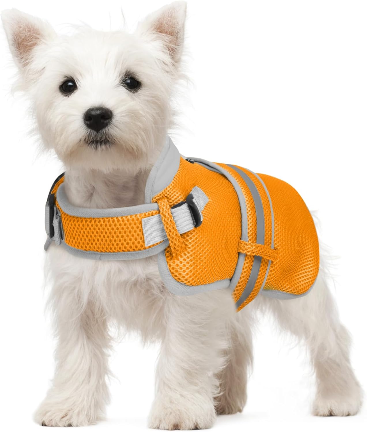 Cooling Vest for Small Dog,Lightweight Cooling Dog Jacket,Breathable Mesh Dogs Shirt Harness Vest with Adjustable Straps Reflective Stripe for Hot Weather with D-ring for Beach,Hiking,Walking,S