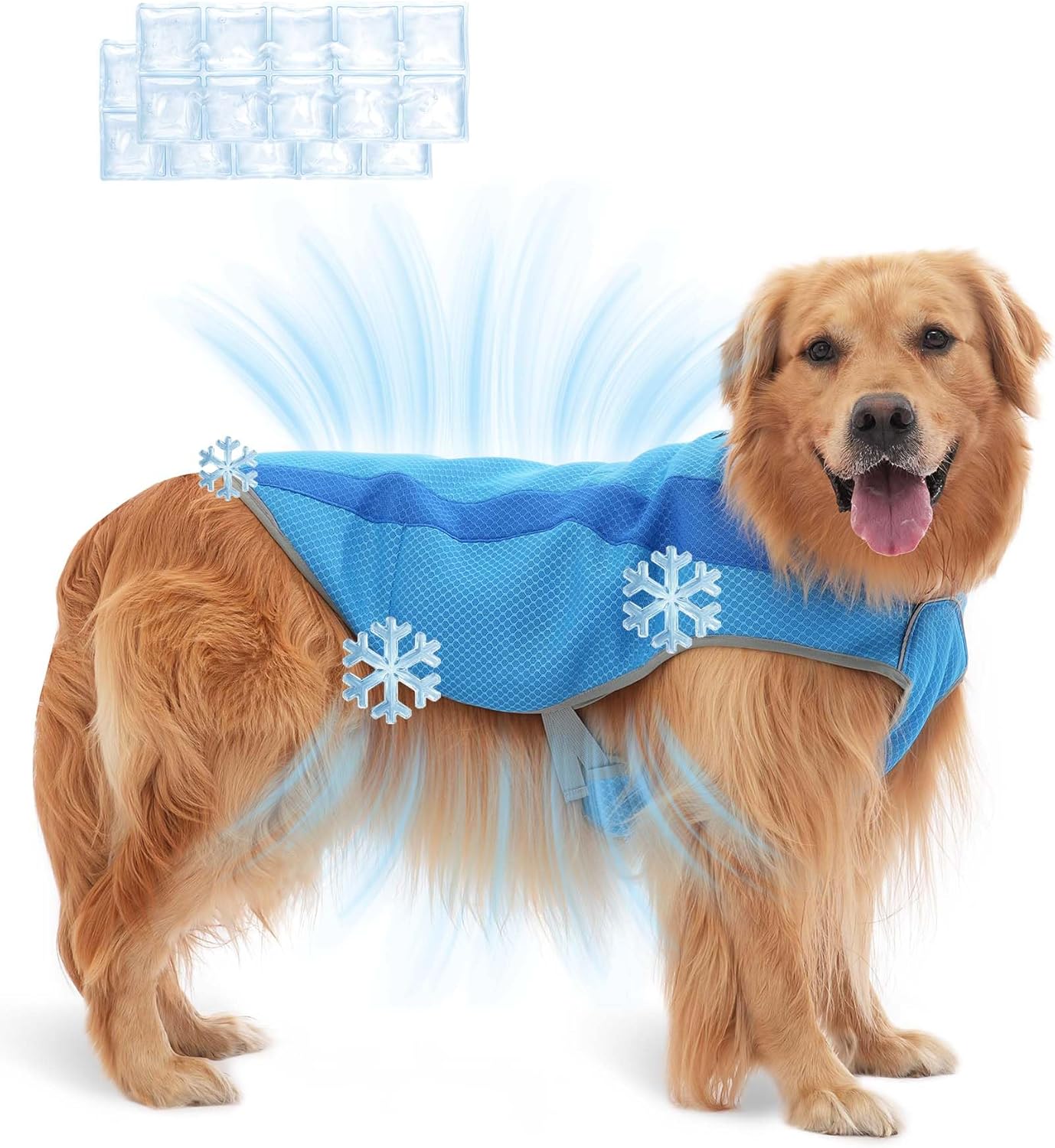 Dog Cooling Vest Harness with Large Gel Ice Packs Adjustable Cooling Harness for Dogs Outdoor Activity in Hot Weather Blue M Dog Cooling Vest Harness with Large Gel Ice Packs Adjustable Cooling Harness for Dogs Outdoor Activity in Hot Weather Blue M
