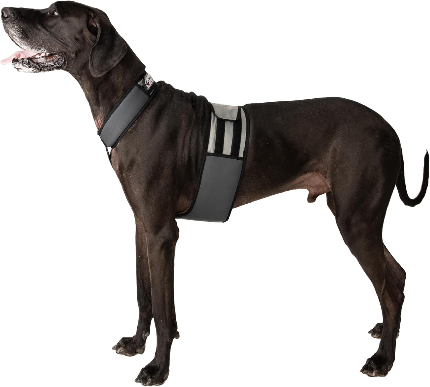 Dog Cooling Vest and Cooling Collar – Ice Vest for Dogs (XL)