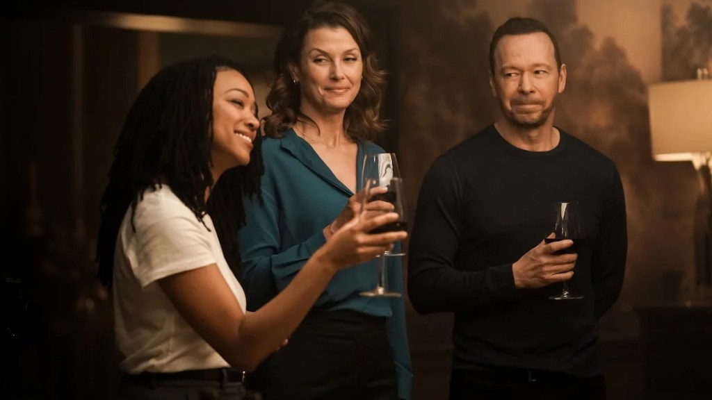 Donnie Wahlberg-Led ‘Blue Bloods’ Spinoff Sticks to the Formula