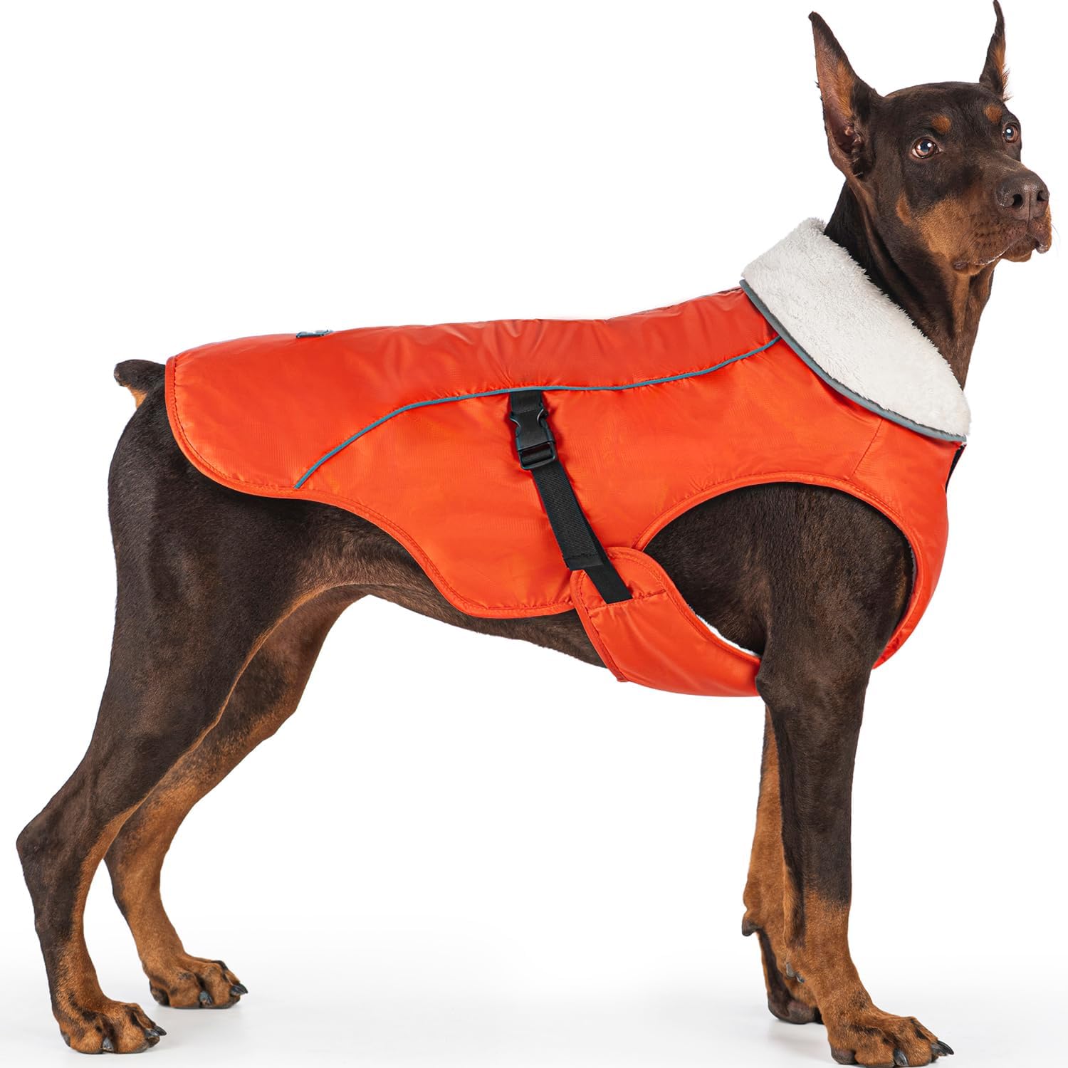 EMUST Winter Dog Jacket, Windproof Dog Apparel for Cold Weather, Reflective Coats for Dogs, Warm Puppy Jacket for Cold Winter, Orange, S EMUST Winter Dog Jacket, Windproof Dog Apparel for Cold Weather, Reflective Coats for Dogs, Warm Puppy Jacket for Cold Winter, Orange, S