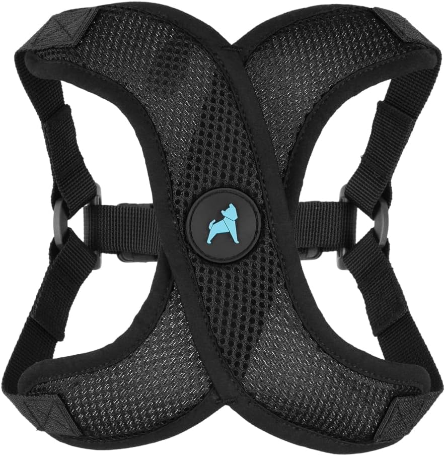Gooby Comfort X Step in Lite Dog Harness – Choke Free, Escape Free with Light Breathable Mesh – Step in Dog Harness for Small Dogs Only – Quick Release Buckle, Metal D-Rings – Black, Medium Gooby Comfort X Step in Lite Dog Harness – Choke Free, Escape Free with Light Breathable Mesh – Step in Dog Harness for Small Dogs Only – Quick Release Buckle, Metal D-Rings – Black, Medium
