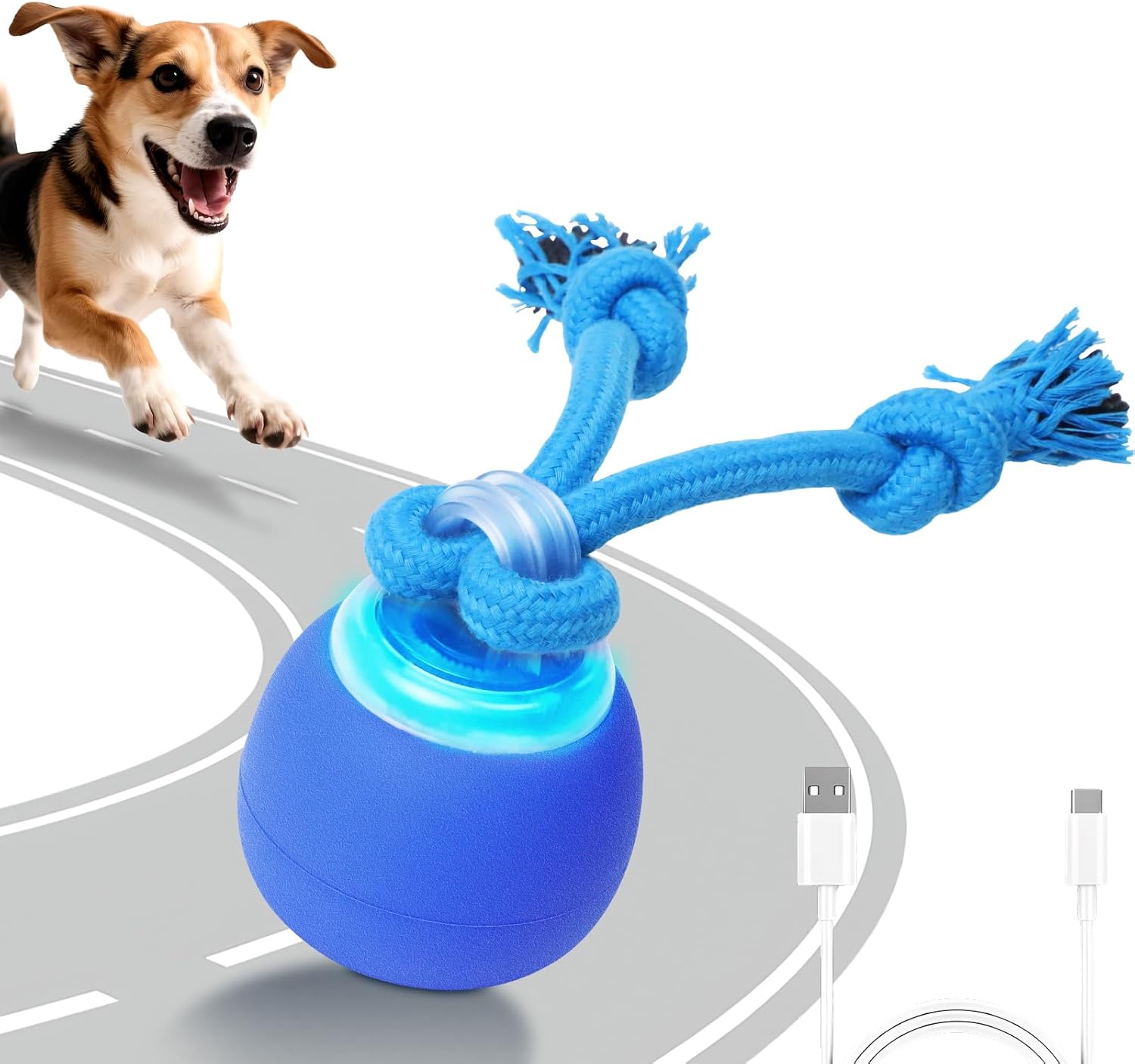 Interactive Dog Toys Touch Activated Bouncing & Jumping Dog Ball with Rope, Squeaky Doggie Toys to Keep Them Busy