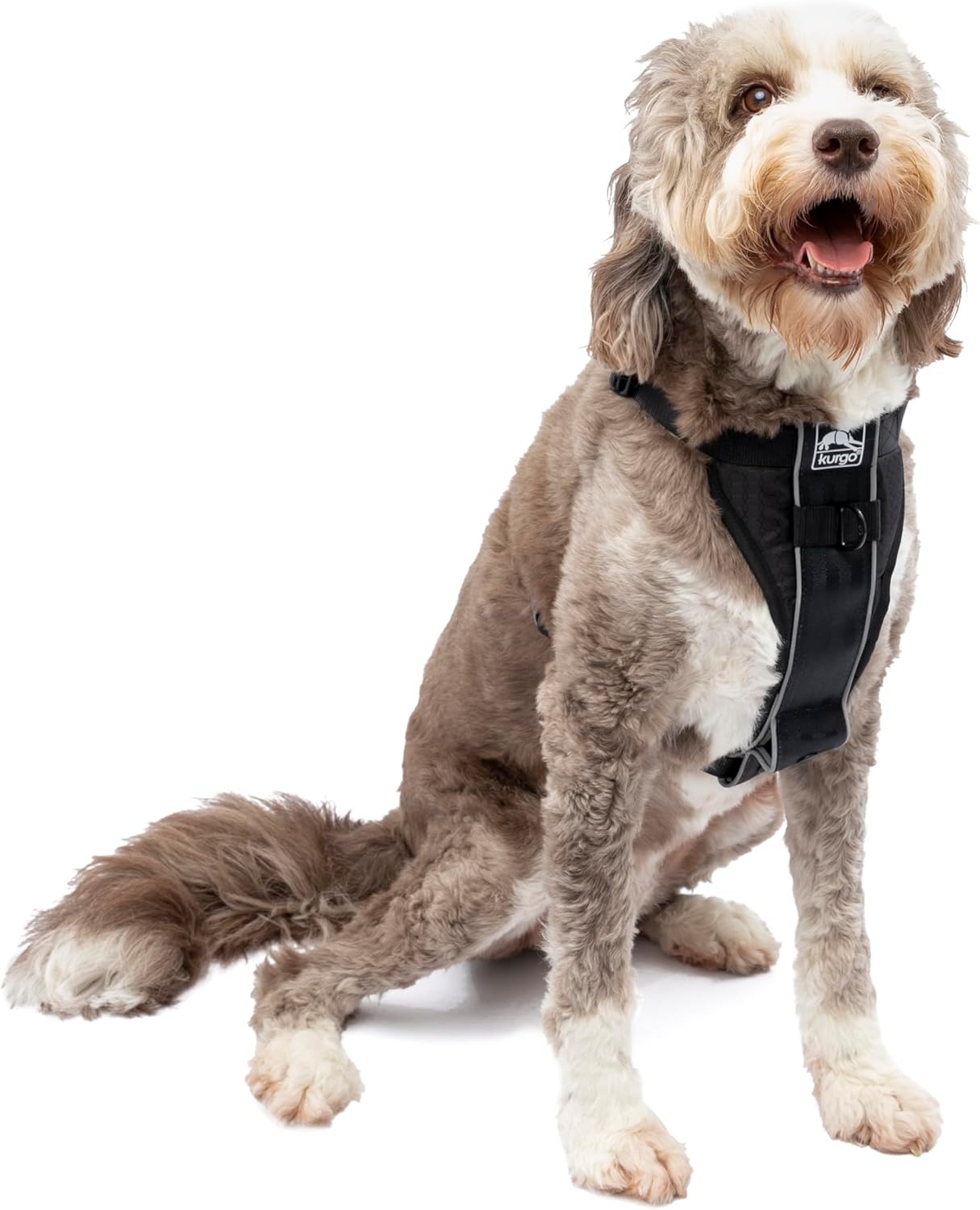Kurgo Tru-Fit Smart Dog Walking Harness – Comfortable Fit – Adjustable Harness – Reflective Pet Wear – Quick Strap Release – Daily Walk Accessory – Includes Seat Belt Loop – Black – Large