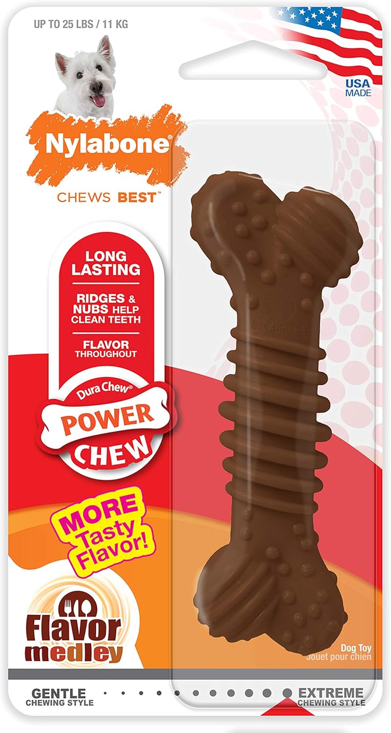 Nylabone Textured Dental Bone Power Chew Toy for Dogs, Dog Toys for Aggressive Chewers, Flavor Medley Flavor, Small – Up to 25 Ibs, 1 Count