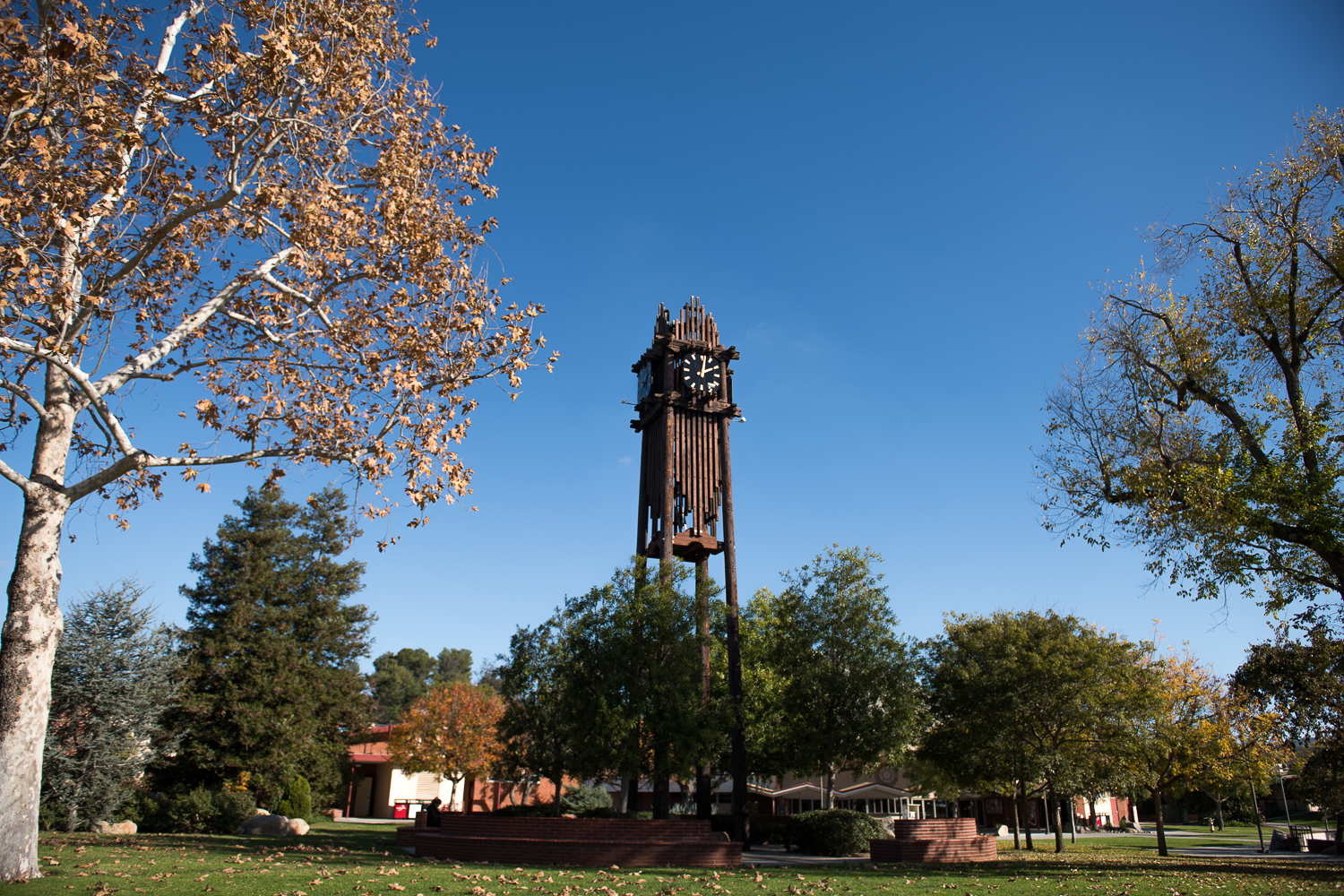 Palomar College Board Removes Anti-Racism Policy