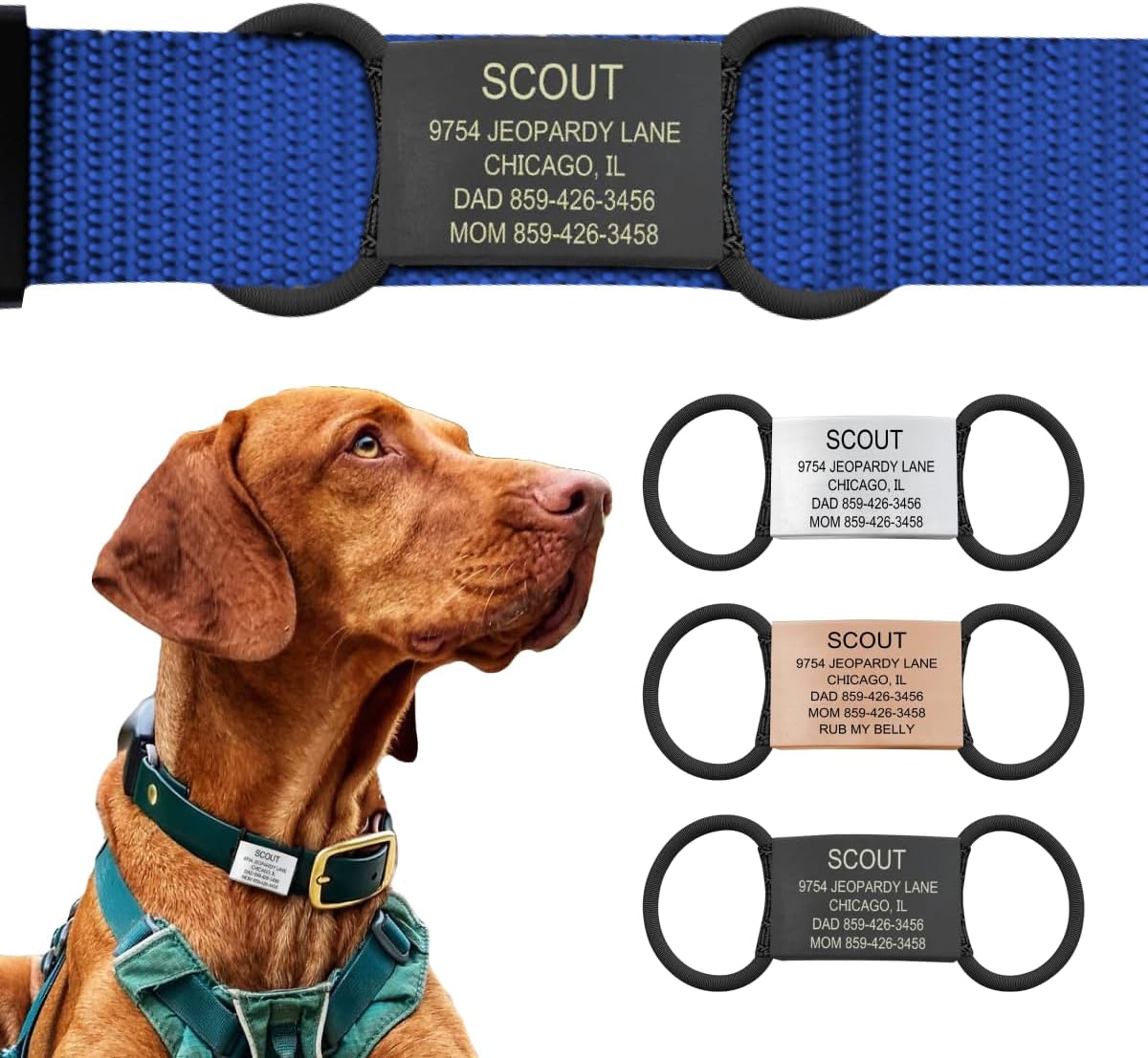 Personalized Dog Tags by ROAD iD | Silent & Durable | Jingle-Free Slide-On Design | Stainless Steel Name Tag Fits Any Collar | Multiple Colors & Sizes for Your Pet’s Unique Style
