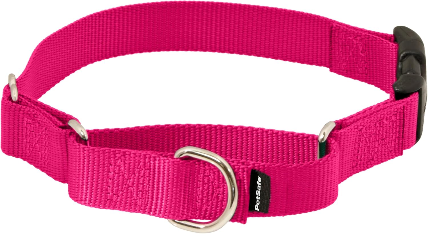 PetSafe Martingale Collar with Quick-Snap Buckle – Adjustable No-Slip Quick Release Dog Collar – Everyday Wear No-Pull Training Aid – 1″ Wide – Medium – Raspberry