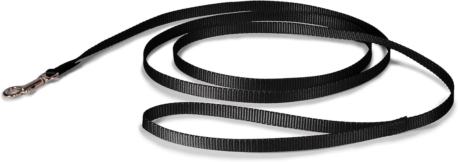 PetSafe Nylon Leash – Chew-Resistant Cat & Dog Behavioral Training Leash – Compatible with Easy-Walk Harness – Traditional-Style Reliable Pet Lead with a Padded Hand Wrap – 3/8″ x 6′ – Black