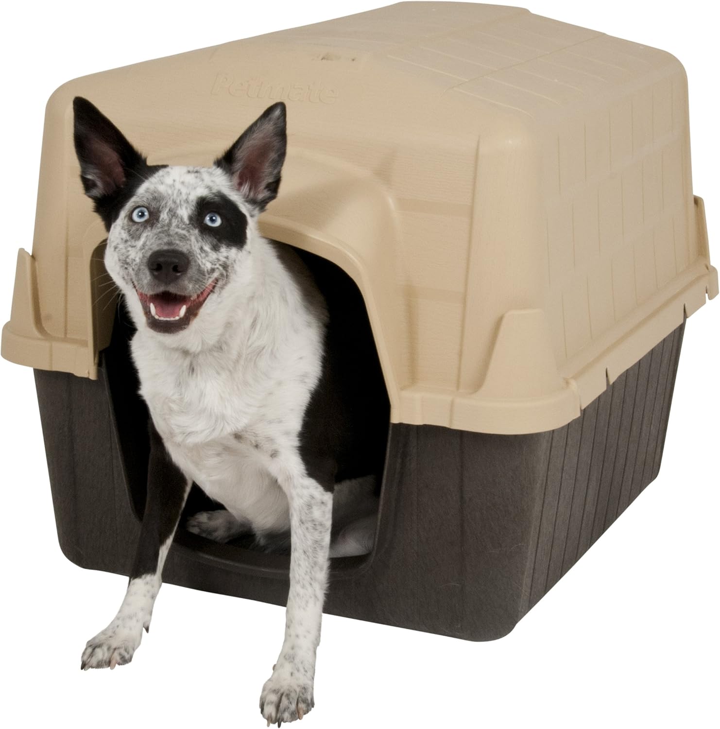 Petmate Aspen Pet Outdoor Dog House, Medium, For Pets 25 to 50 Pounds Petmate Aspen Pet Outdoor Dog House, Medium, For Pets 25 to 50 Pounds