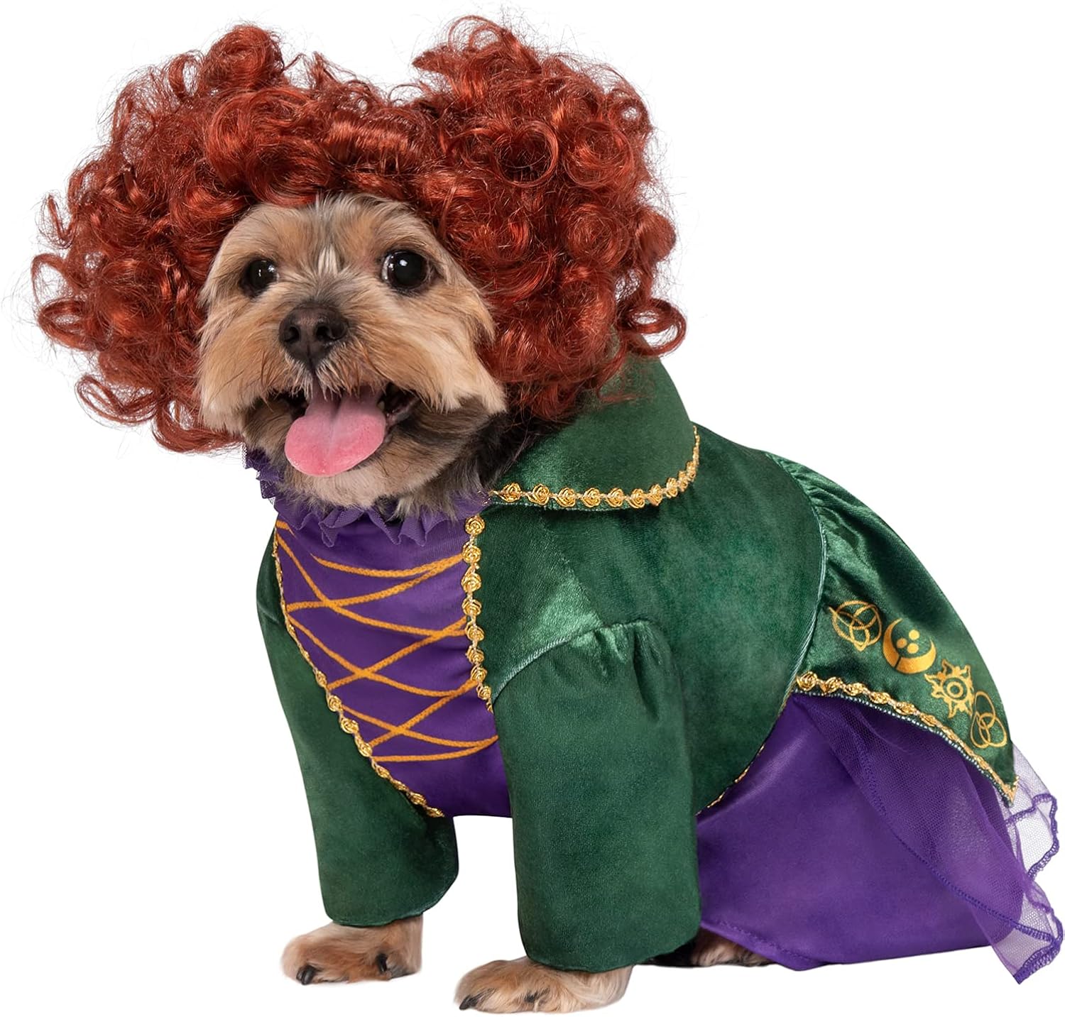 Rubies Disney Hocus Pocus: Winifred Sanderson Pet Costume for For Dogs or Cats, XL