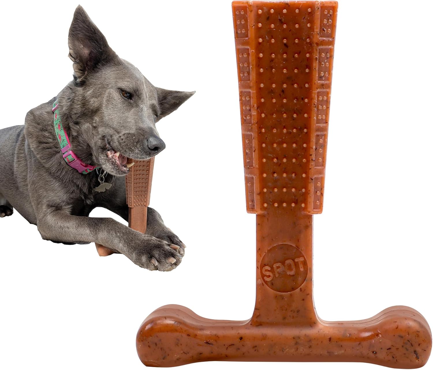 SPOT Bam-Bones Plus T Bone – Bamboo Fiber & Nylon Dog Chew Toy for Moderate to Aggressive Chewers, Durable Long Lasting & Non-Splintering, Beef Flavor Toy for Adult Dogs & Puppies Under 60 lbs, 6 in SPOT Bam-Bones Plus T Bone – Bamboo Fiber & Nylon Dog Chew Toy for Moderate to Aggressive Chewers, Durable Long Lasting & Non-Splintering, Beef Flavor Toy for Adult Dogs & Puppies Under 60 lbs, 6 in