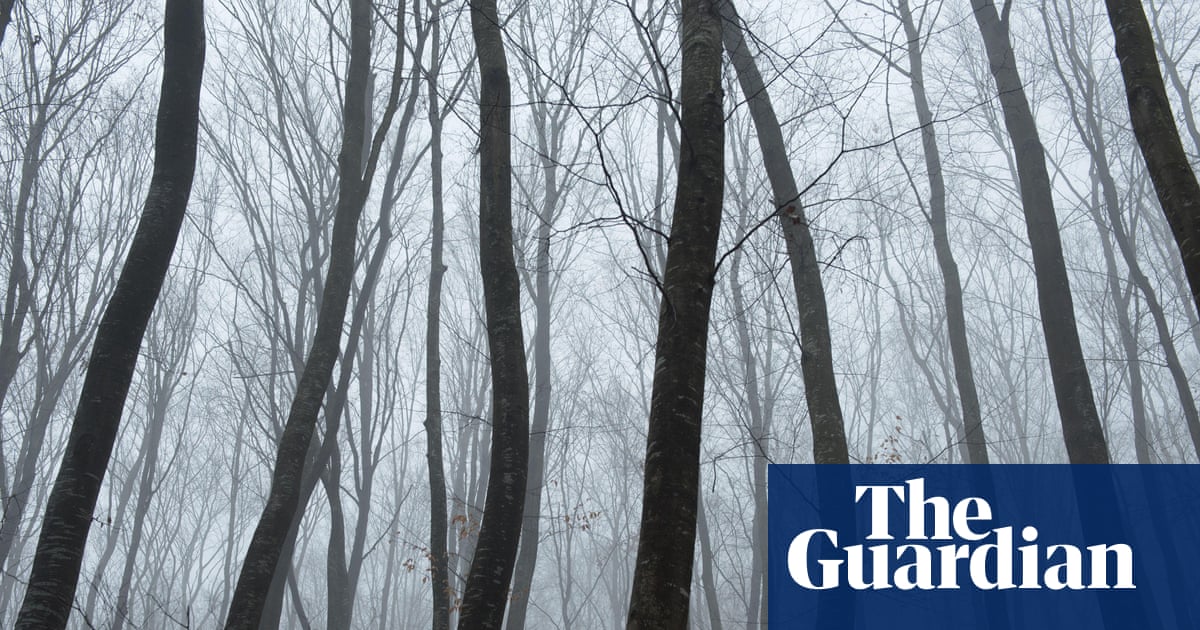 ‘The world’s most haunted forest’: twisted trees, UFOs and spooky stories in Transylvania | Romania holidays ‘The world’s most haunted forest’: twisted trees, UFOs and spooky stories in Transylvania | Romania holidays