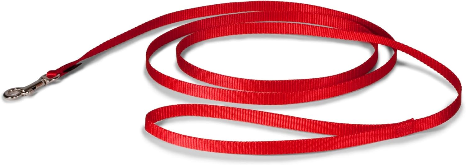 PetSafe Nylon Dog Leash – Strong, Durable, Traditional Style Leash with Easy to Use Bolt Snap for Small, Medium and Large Dogs – 3/8″ x 6′, Red
