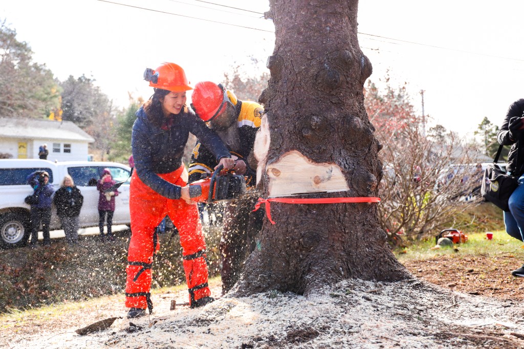 Boston Mayor Wu’s family holiday trip to Nova Scotia cost taxpayers K