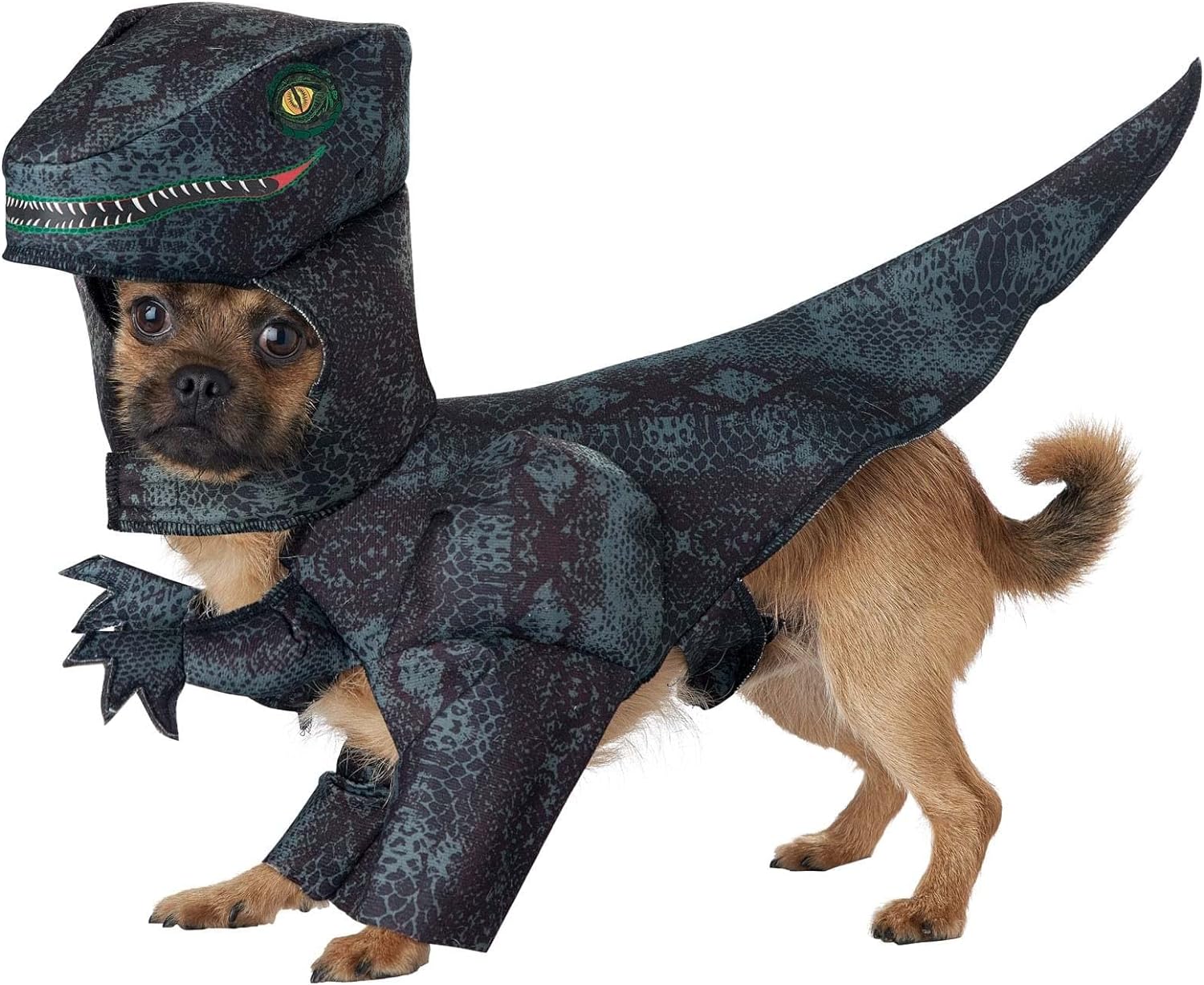 Calico, Pupasaurus Rex Dog Costume Large
