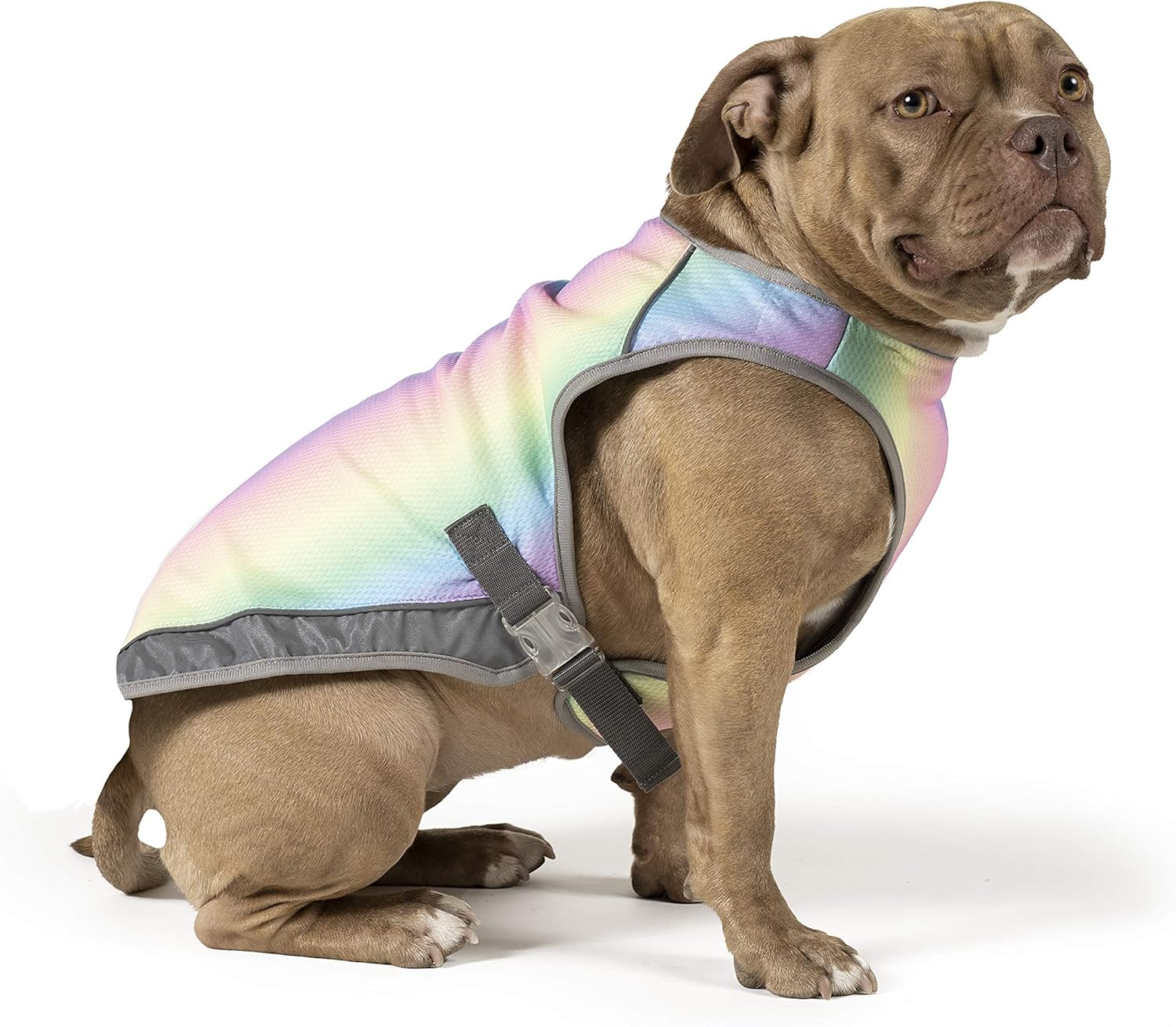 Canada Pooch Dog Cooling Vest – Evaporative Cooling Vest for Dogs with Breathable Mesh Material & Reflective Lining, Adjustable for Dogs 8 (7-9″ Back Length), Rainbow