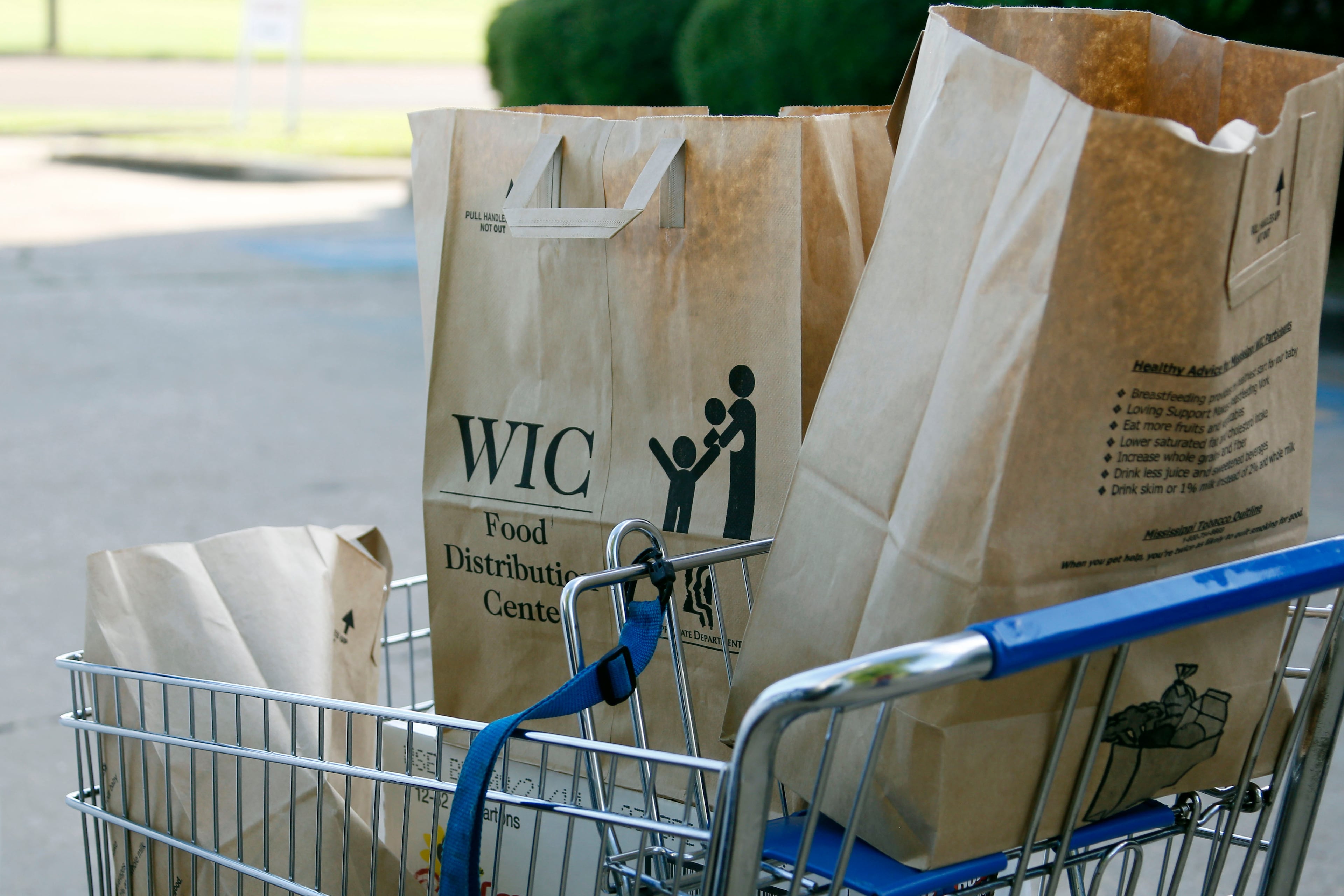 Grocery bags with food from the Special Supplemental Nutrition Program for Women, Infants and Children. (Rogelio V. Solis/AP)