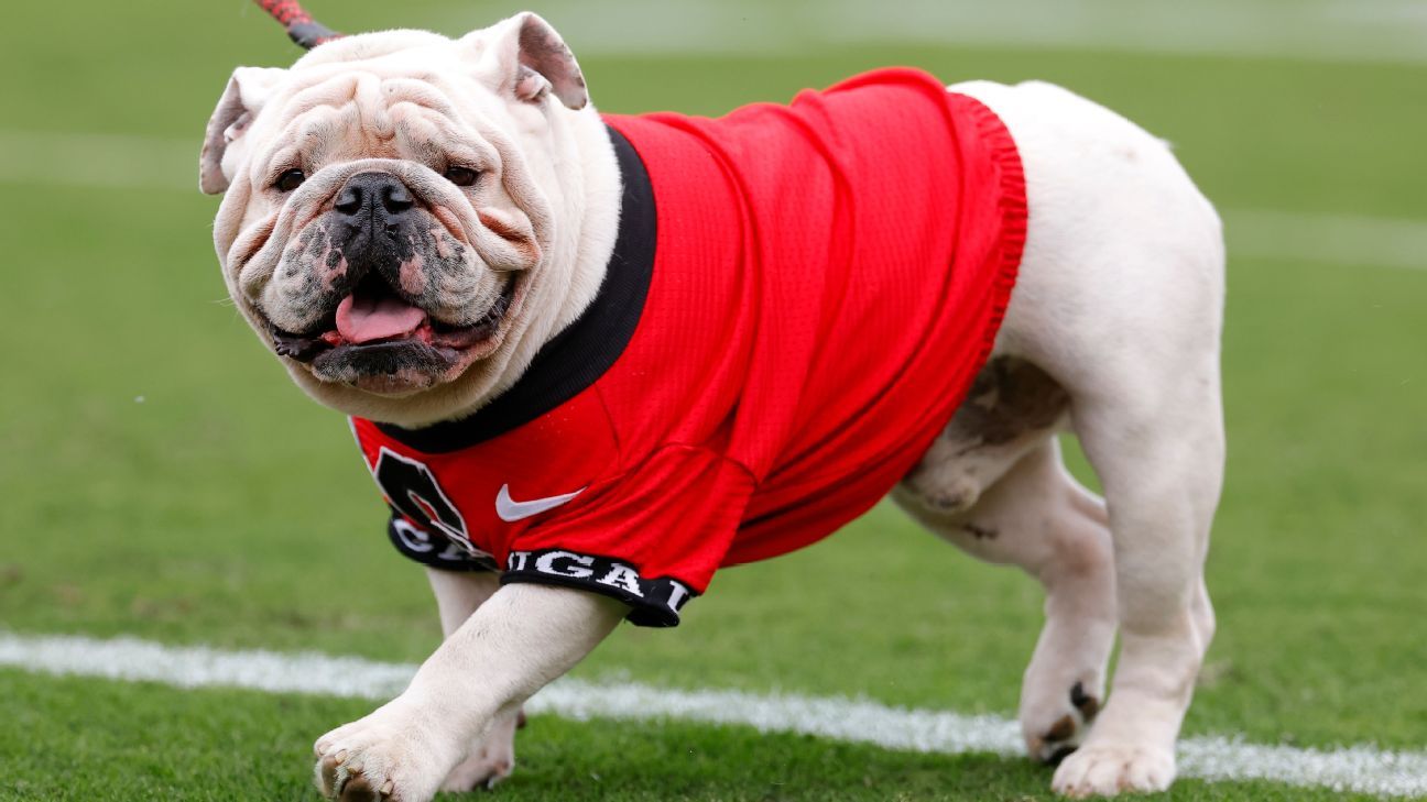 Georgia, Oklahoma rise in AP Top 25; three Group of 5 teams ranked