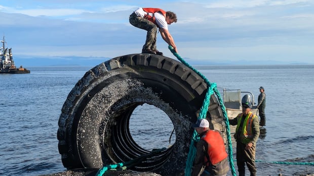 Giant industrial tires removed from beach near Campbell River, B.C.