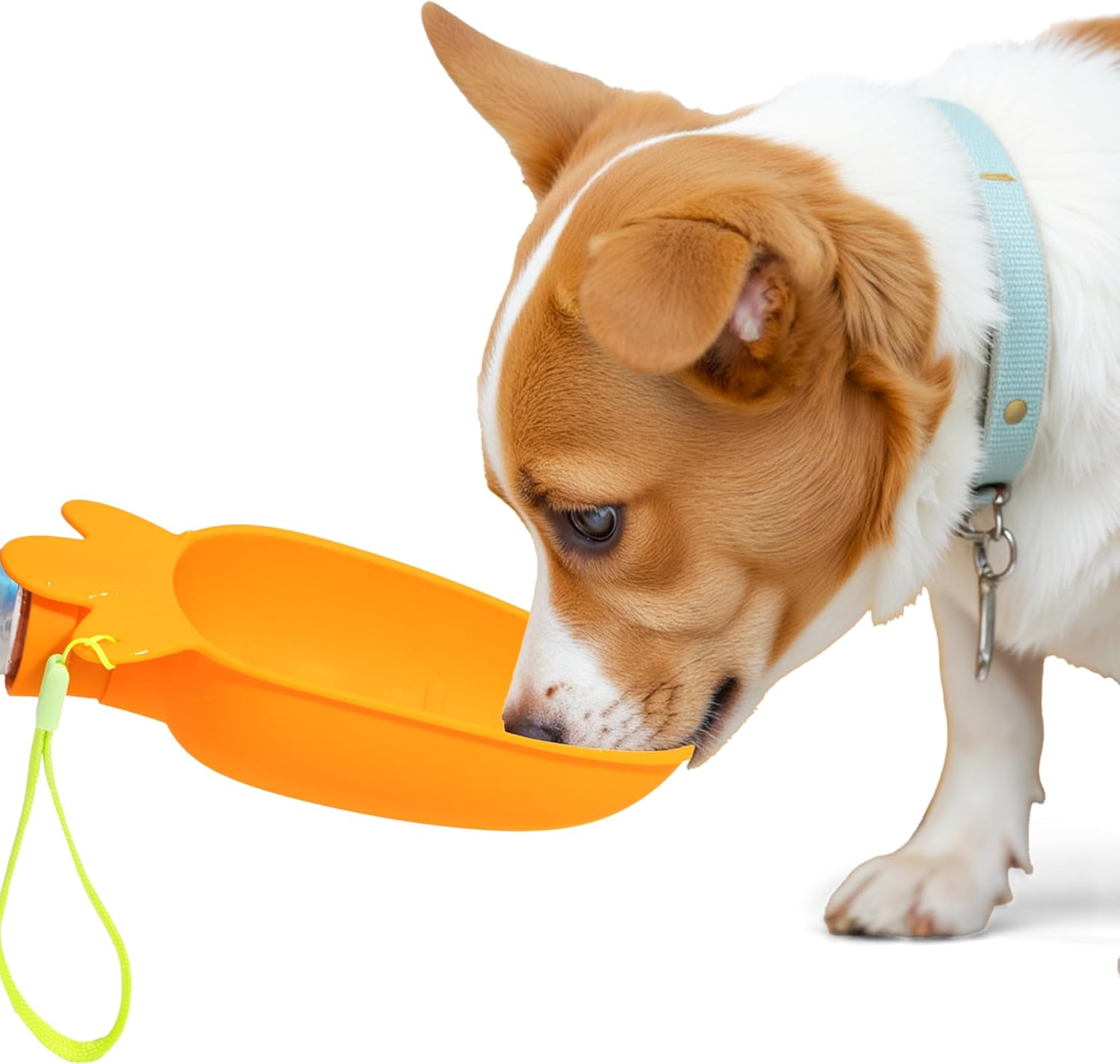 Li & Zhao Portable Dog Water Bottle Dispenser – Leak Proof Portable Water Bowl for Dog Foldable Carrot Water Bowl Travel Silicone Pet Dispenser for Puppy Cats Pets Outdoor Walking, Hiking, Travel