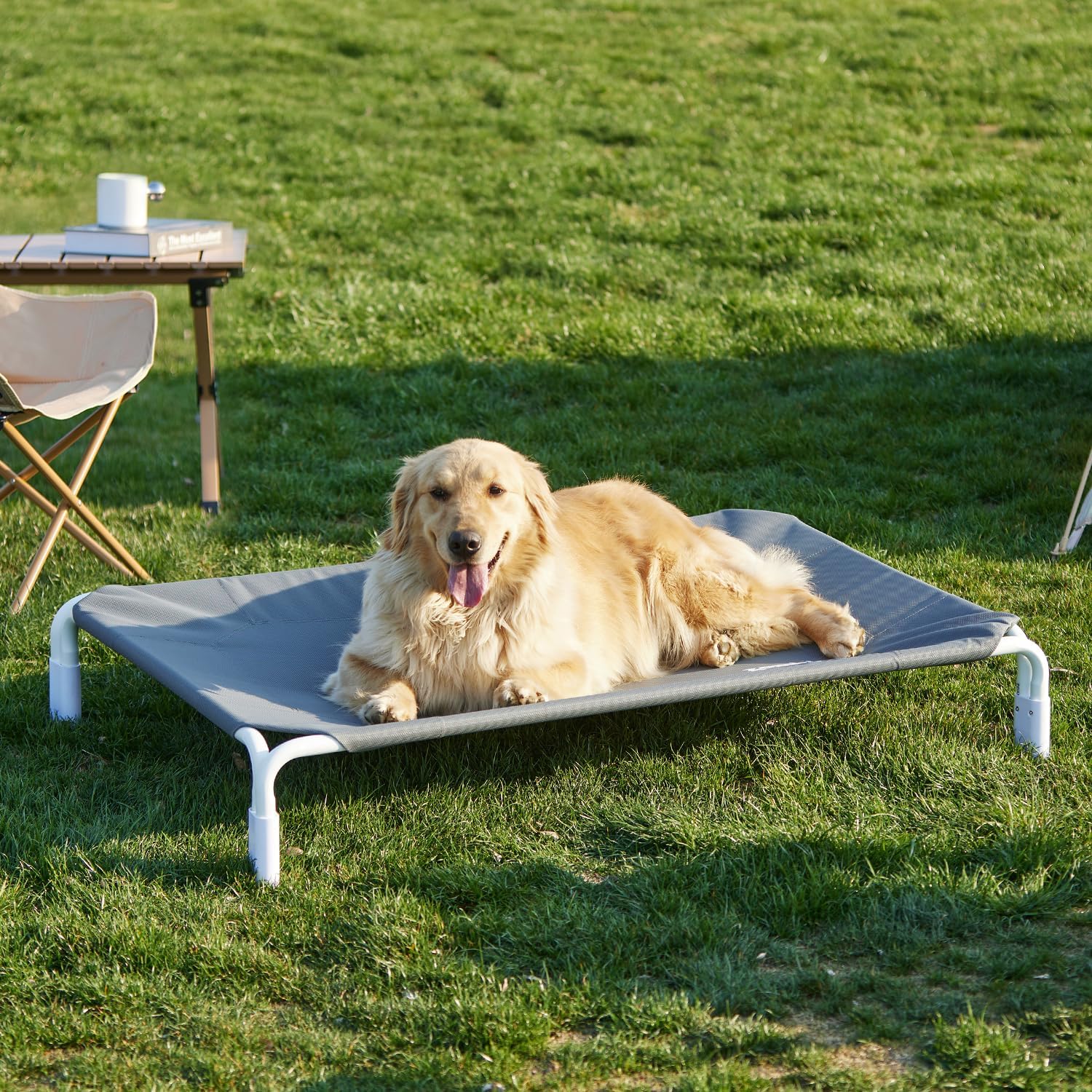 Outdoor Dog Cot Bed, Tool-Free Assembly, Elevated Raised Dog Bed for Large Pets, 43×30 Inch