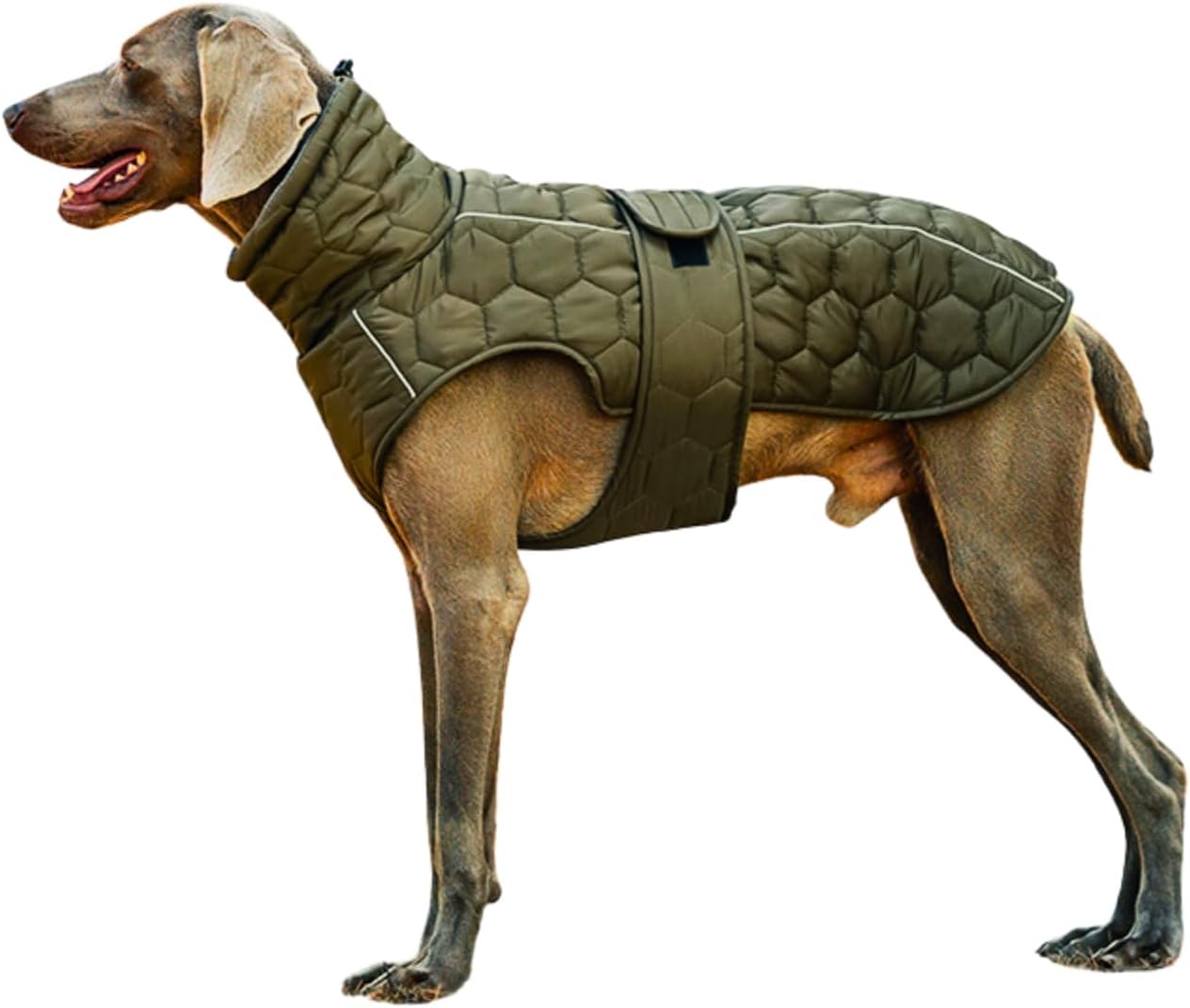 PawVouge Dog Winter Coat Thick Lining & Reflective Dog Jacket with Adjustable Neck and Leg Strap Waterproof Coat with Harness Hole for Small to Large Dogs (Green,Small)