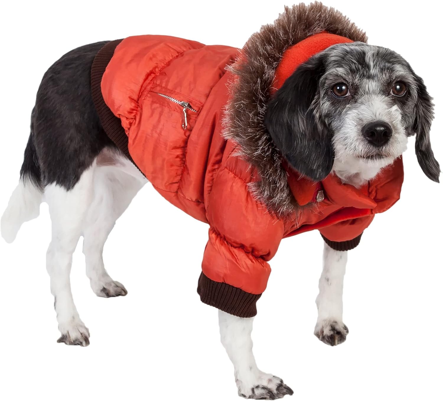 Pet Life ® Classic Metallic Fashion Winter Pet Dog Coat Jacket Parka with 3M Insulation and Removable Hood
