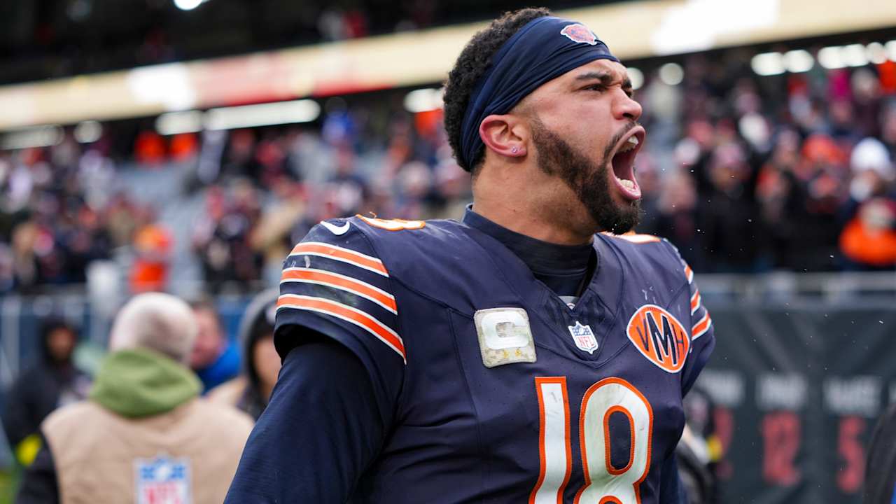 Postseason probabilities entering Week 12 of 2025 season