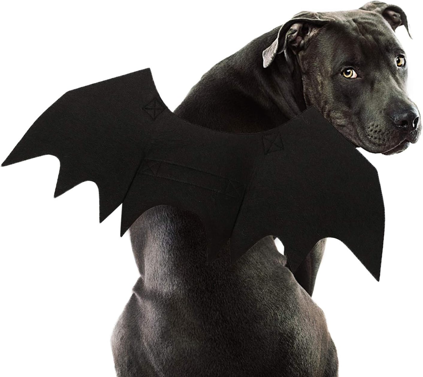 Rypet Dog Bat Costume – Halloween Pet Costume Bat Wings Cosplay Dog Costume Cat Costumes for Party L
