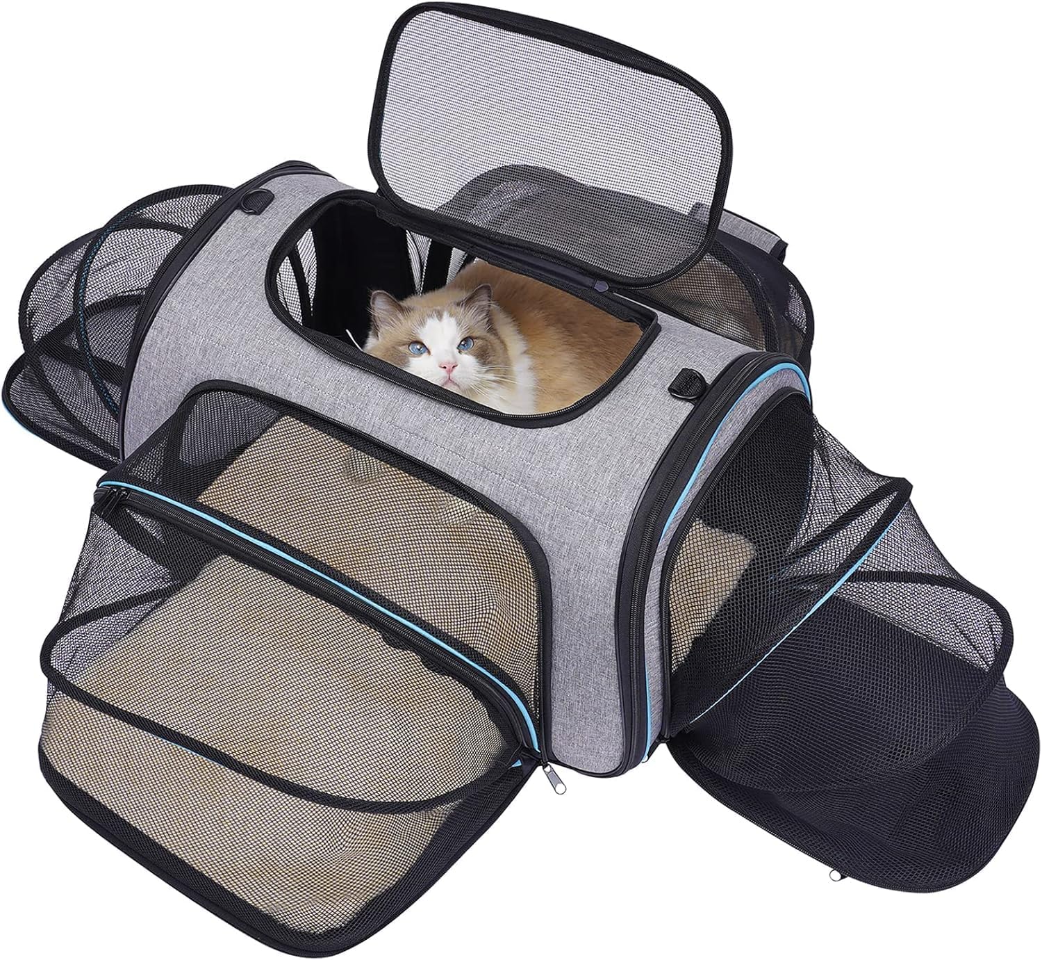 Siivton 4 Sides Expandable Pet Carrier, Airline Approved Soft-Sided Dog Cat Carrier Bag with Fleece Pad for Cats, Puppy and Small Animals (4 Extension Gray_Blue, L:18.0″ L x 11.0″ W x 11.0″ H)