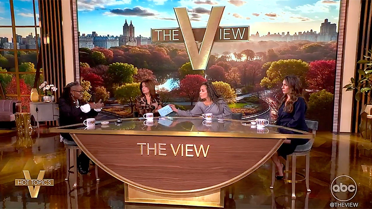 The co-hosts of "The View"