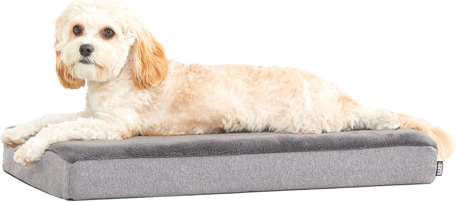 Barkbox Orthopedic Dog Bed with Memory Foam, Premium Comfort for Dogs and Puppies, Dog Beds for Joint Relief and Restful Sleep, Durable and Easy to Clean – Grey, Medium